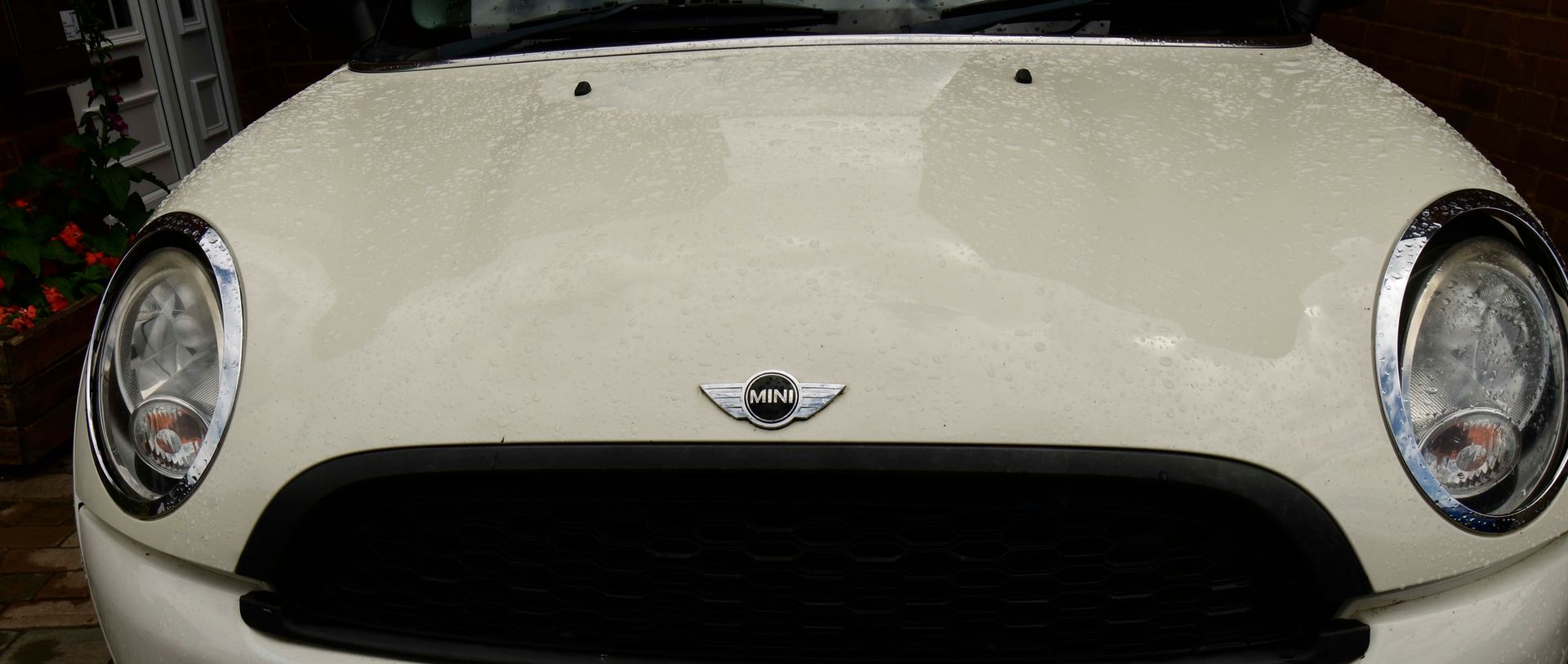 BONNET.jpg